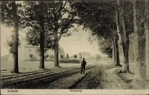 Ak Kloster Lehnin in der Mark, Waldweg