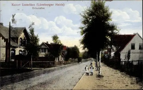 Ak Unterlüß Unterlüss Südheide, Birkenallee