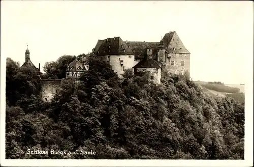Ak Burgk Schleiz im Vogtland Thüringen, Schloss Burgk an der Saale, Wald