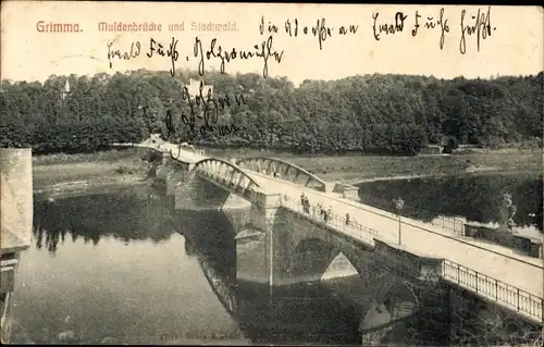 Ak Grimma in Sachsen, Muldenbrücke, Stadtwald