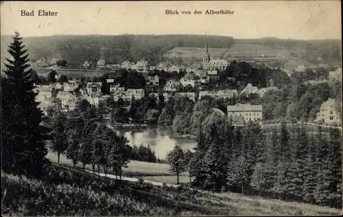 Ak Bad Elster im Vogtland, Blick von der Alberthöhe, Ortsansicht