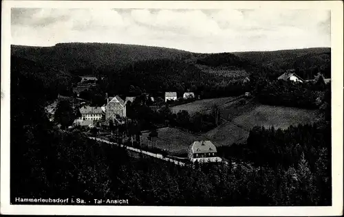 Ak Hammerleubsdorf Leubsdorf in Sachsen, Talansicht