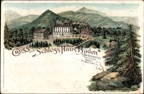 Litho Badenweiler im Schwarzwald, Schloss Haus Baden