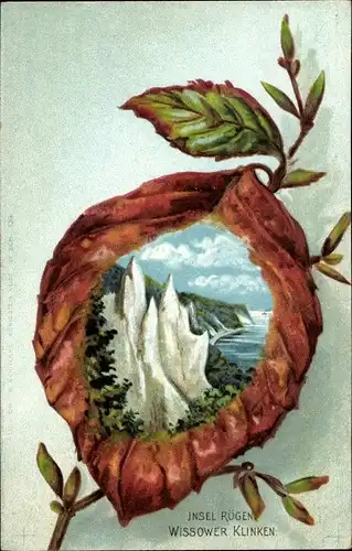 Ak Insel Rügen, Wissower Klinken, Blatt