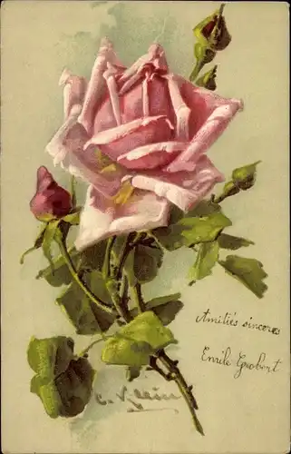 Künstler Litho Klein, Catharina, Blühende Rose