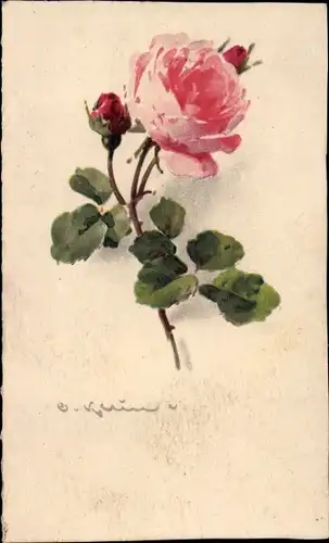 Künstler Litho Klein, C., Blühende Rose