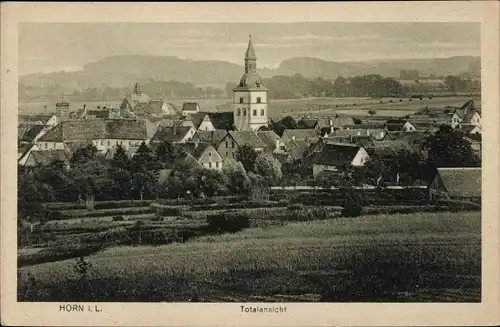 Ak Horn Bad Meinberg in Lippe Teutoburger Wald, Totalansicht