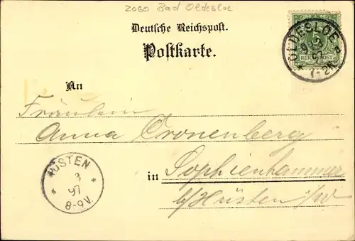 Litho Bad Oldesloe in Holstein, Hotel zur Krone, Salzteich, Kurhaus, Soolbad Restaurant