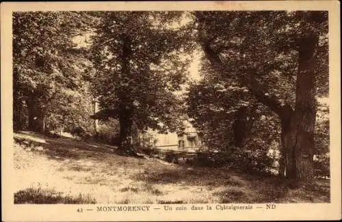 Ak Montmorency Val d'Oise, Eine Ecke in der Chataigneraie