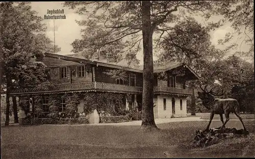 Ak Joachimsthal in der Uckermark Schorfheide, Jagdschloss Hubertusstock, Hirsch