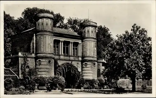 Ak Karlsruhe in Baden, Botanischer Garten