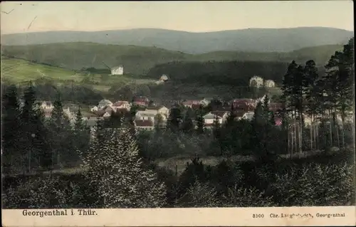 Ak Georgenthal in Thüringen, Panorama