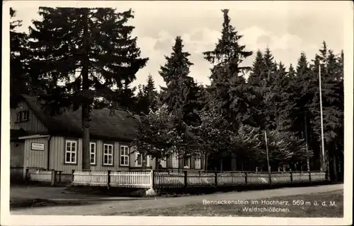 Ak Benneckenstein im Harz, Waldschlößchen