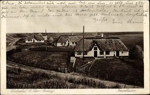 Ak St. Peter Ording Nordfriesland, Friesenhäuser, Deich