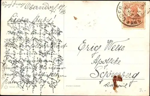 Künstler Ak Donadini, Gänsehirt mit Gänsen