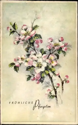 Ak Glückwunsch Pfingsten, Blütenzweige
