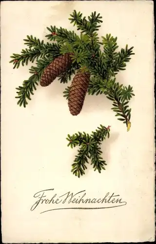 Ak Glückwunsch Weihnachten, Tannenzweig mit Zapfen