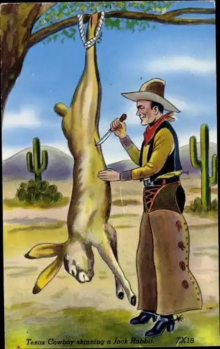 Ak Texas USA, Texas Cowboy häutet ein Jack Rabbit