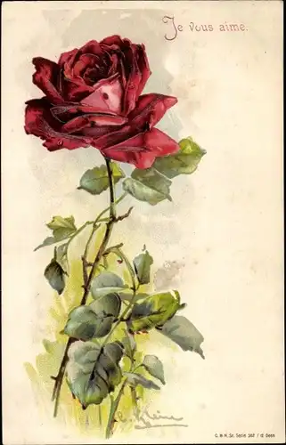 Präge Künstler Litho Klein, Catharina, Einzelne rote Rosenblüte