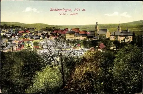 Ak Schleusingen in Thüringen, Ortsansicht, Kirche, blühender Baum