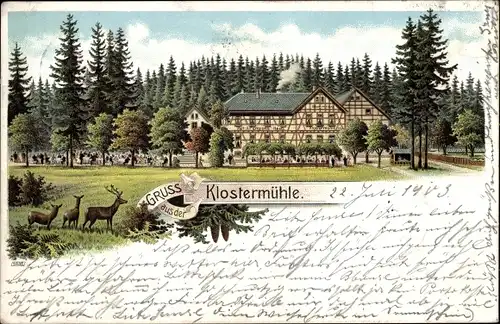 Litho Reinhardsbrunn Friedrichroda im Thüringer Wald, Gastwirtschaft Klostermühle