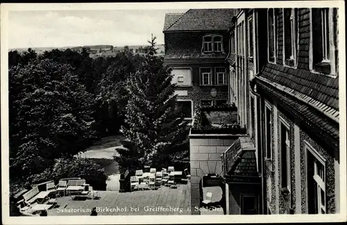 Ak Gryfów Śląski Greiffenberg Schlesien, Sanatorium Birkenhof