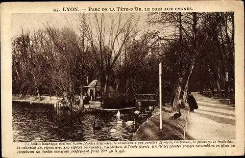 Ak Lyon Rhône, Parc de la Tete-d'Or, Le coin aux Cygnes