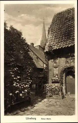 Ak Lüneburg in Niedersachsen, roter Hahn, Katze