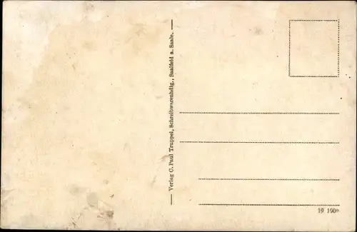 Ak Saalfeld an der Saale Thüringen, Panorama
