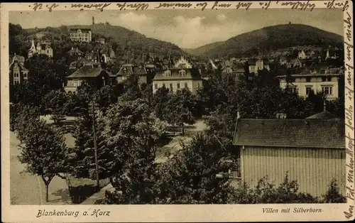 Ak Blankenburg Harz, Villen mit Silberborn