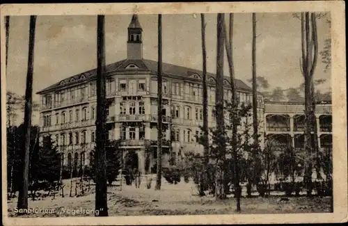 Ak Gommern Sachsen Anhalt, Heilstätte Vogelsang, Sanatorium