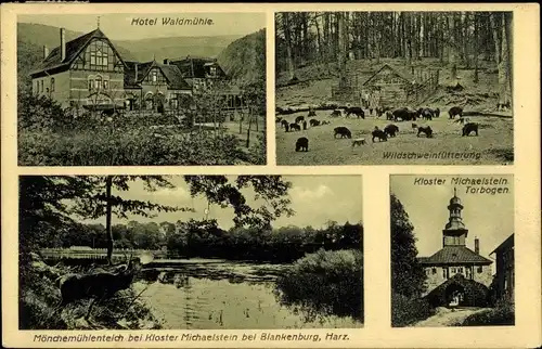Ak Blankenburg Harz, Hotel Waldmühle, Wildschweinfütterung, Kloster Michaelstein, Mönchemühlenteich