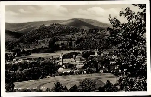 Ak Amorbach im Odenwald Unterfranken, Panorama