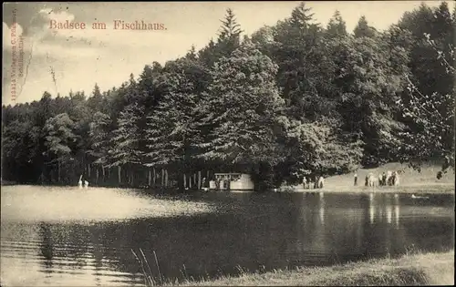 Ak Schillingsfürst in Mittelfranken, Badsee, Fischhaus