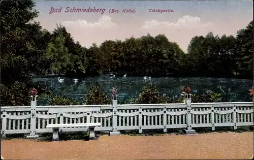 Ak Bad Schmiedeberg (Bezirk Halle) Dübener Heide, Teichpartie