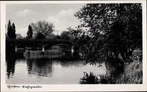 Ak Gießen an der Lahn Hessen, Teich