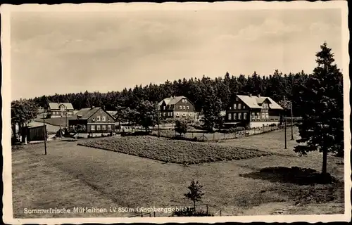 Ak Mühlleithen Klingenthal im Vogtland Sachsen, Panorama