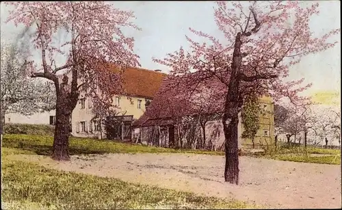 Ak Dresden Schönfeld Weißig Pappritz, Baumblüte