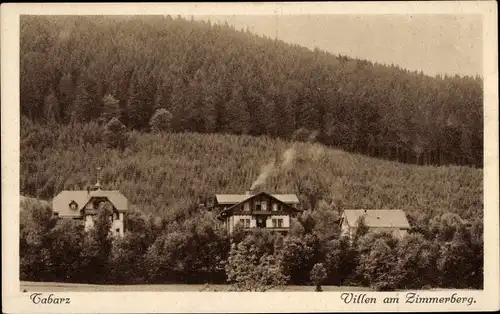 Ak Tabarz im Thüringer Wald, Villen, Zimmerberg