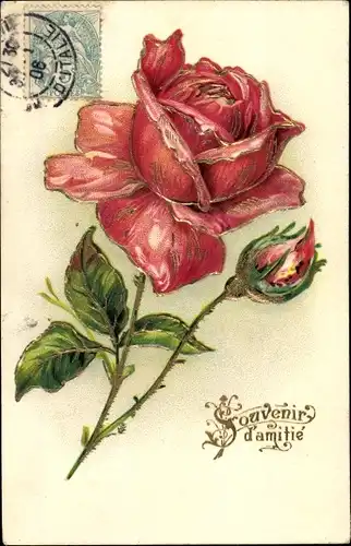 Präge Ak Souvenir, Rote Rose, Kitsch