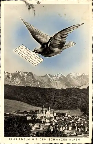 Ak Einsiedeln Kanton Schwyz Schweiz, Panorama, Taube mit Brief