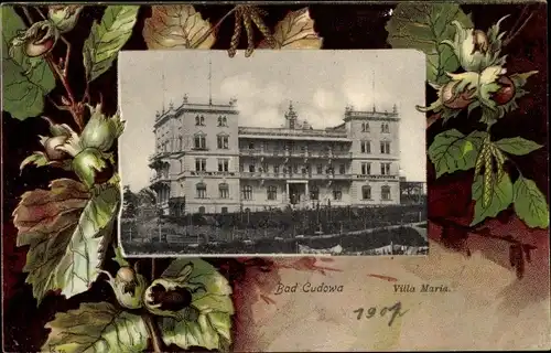 Passepartout Ak Kudowa Zdrój Bad Kudowa Schlesien, Villa Maria, Haselnüsse