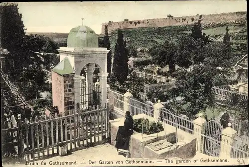 Ak Gethsemane Israel, Garten