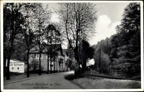 Ak Alexisbad Harzgerode am Harz, Hotel Elysium