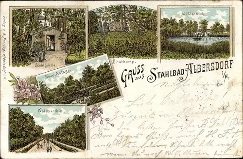 Litho Albersdorf in Dithmarschen, Mühlenteich, Waldpartie, Stahlquelle, Brutkamp