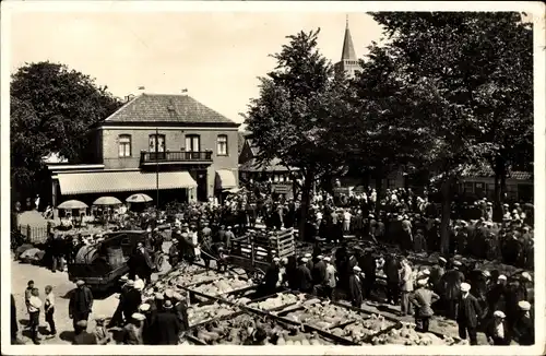 Ak Den Burg Texel Nordholland Niederlande, Schapenmarkt