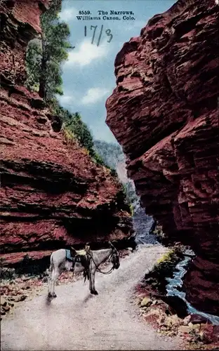 Ak Williams Canon Colorado USA, Gesamtansicht der Narrows, Esel