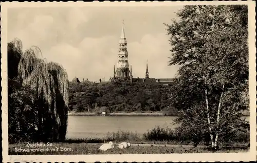 Ak Zwickau in Sachsen, Schwanenteich, Dom