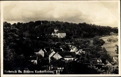 Ak Liebstadt Erzgebirge Sachsen, Schloss Kuckuckstein