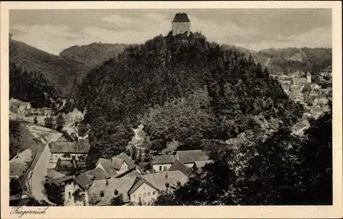 Ak Ziegenrück an der Saale Thüringen, Blick von der Pohlmannsbank